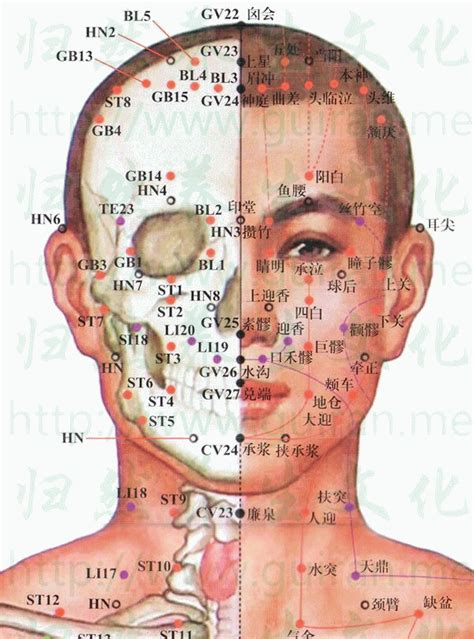 囪會穴|人體穴位大全——囟會穴：頭痛、目眩、面赤暴腫、鼻。